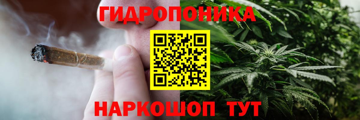 Губкинский  Конопля конопля  Вход с VPN  Бошки Шишки индика  Канабис Ganja 
